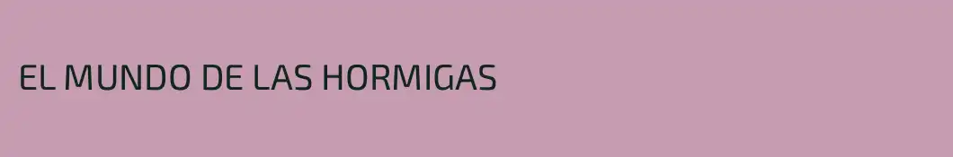 EL MUNDO DE LAS HORMIGAS